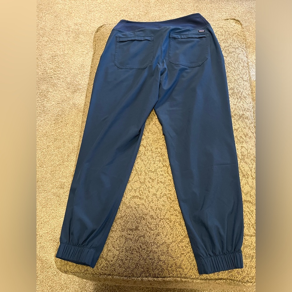 Patagonia jogger pants